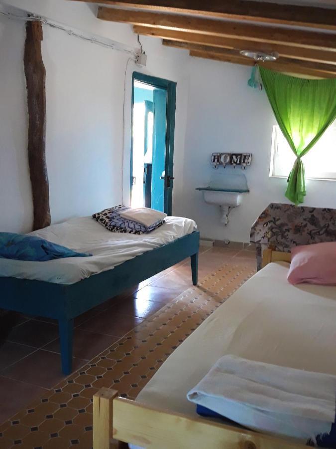 Danube Delta Hostel Homestay & Camping Sulina Exterior photo